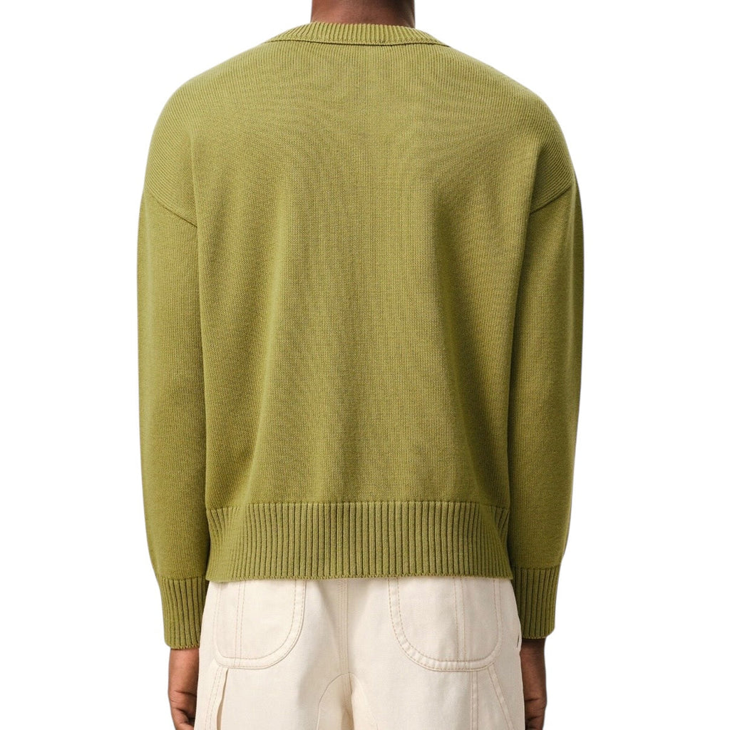 Pull Ami Vert